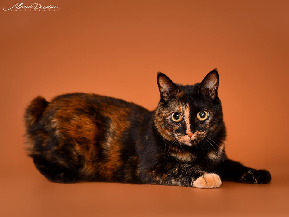 Margo1