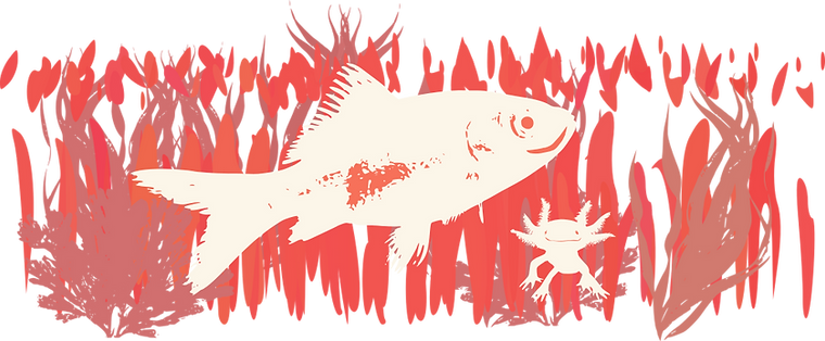 Happy Fish and Axolotl (sp?)