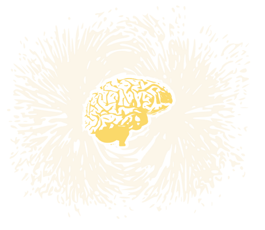 Brain: from fMRI, a New Phrenology?