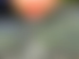 Dinner At Eight Champagne Cocktail