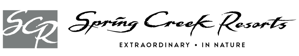 SCR Logo-0.2 copy.png
