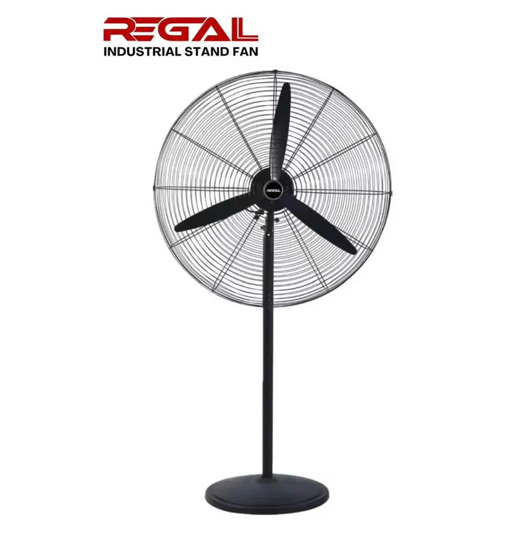 Ventilateur Regal RS30