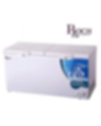 CONGELATEUR ROCH HORIZONTAL 500LITRES RCF-450-D/G 2 PORTES