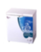 CONGELATEUR ROCH HORIZONTAL 250 LITRES RCF-180-B
