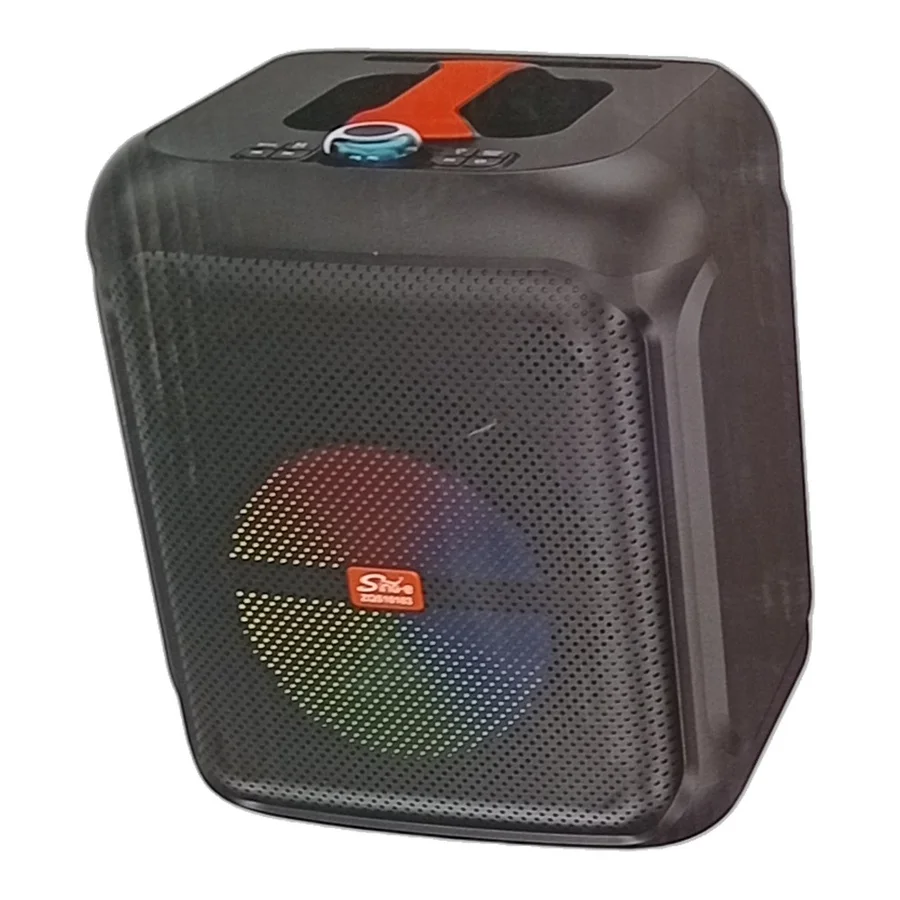 Enceinte karaoké Sing-e ZQS10103 10 pouces avec micro sans fil
