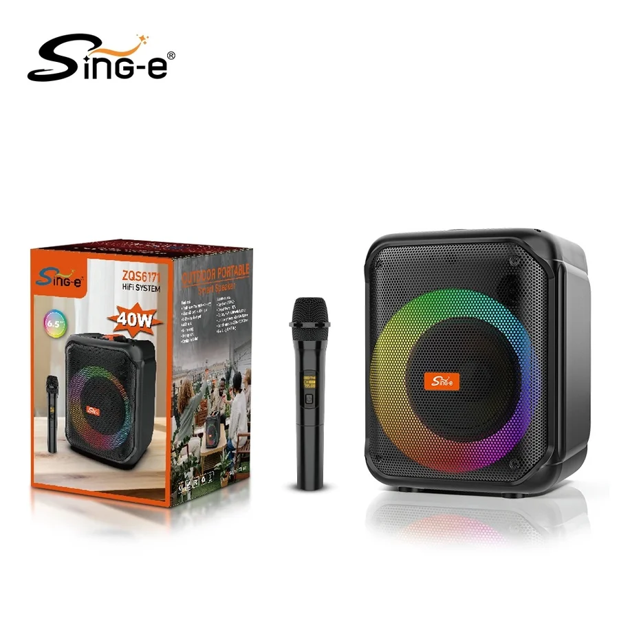 Enceinte karaoké Sing-e ZQS6171 6,5 pouces avec micro sans fil