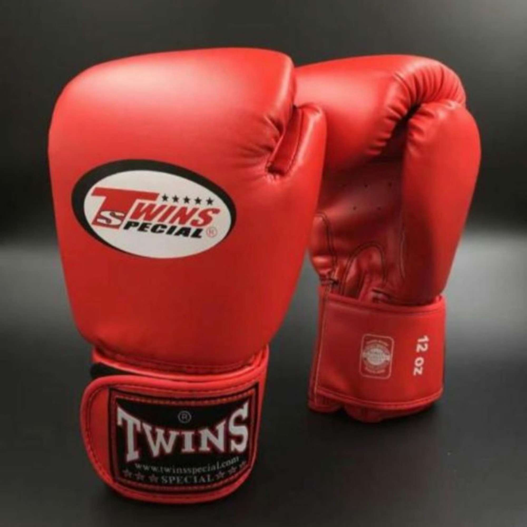 Gants de boxe - Réf. 028