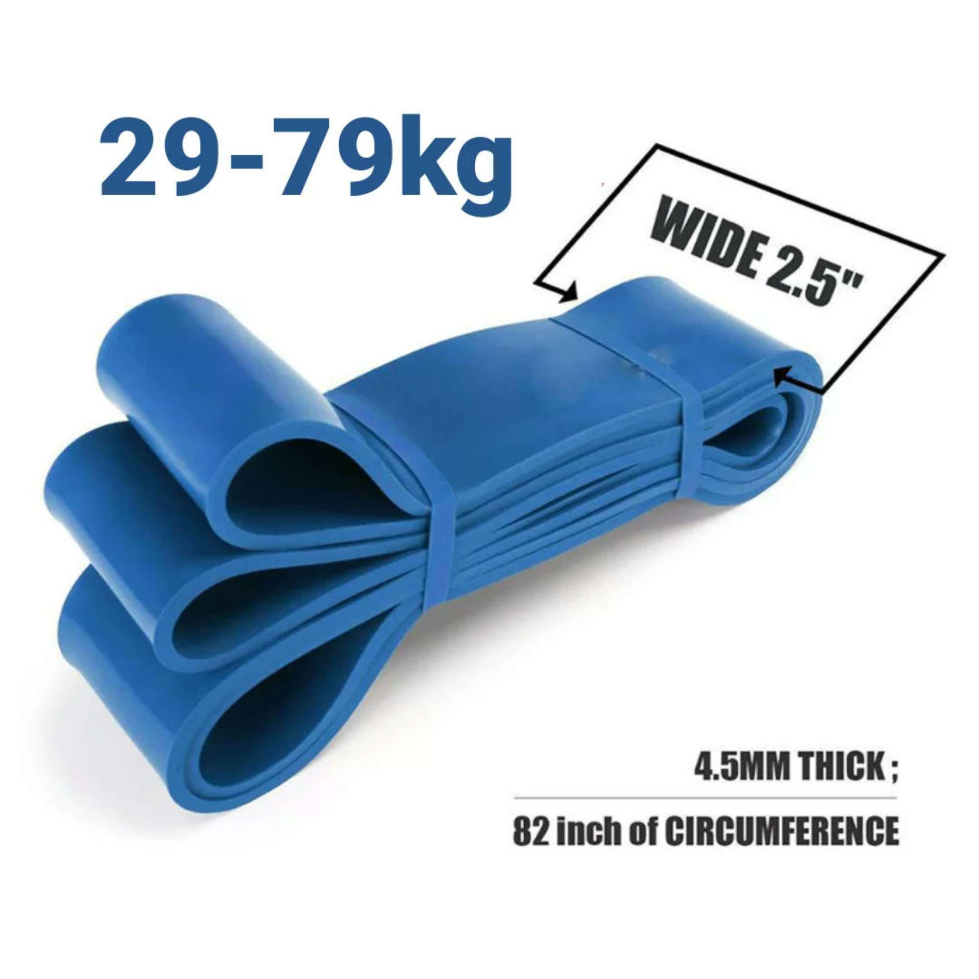 Bande de résistance 29 - 79kg (70-175 Lbs)