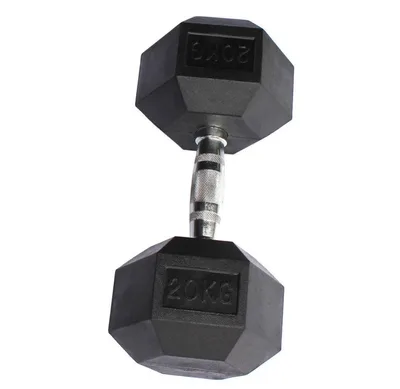 Haltères Biceps Hexagonaux 20 kg — Paire