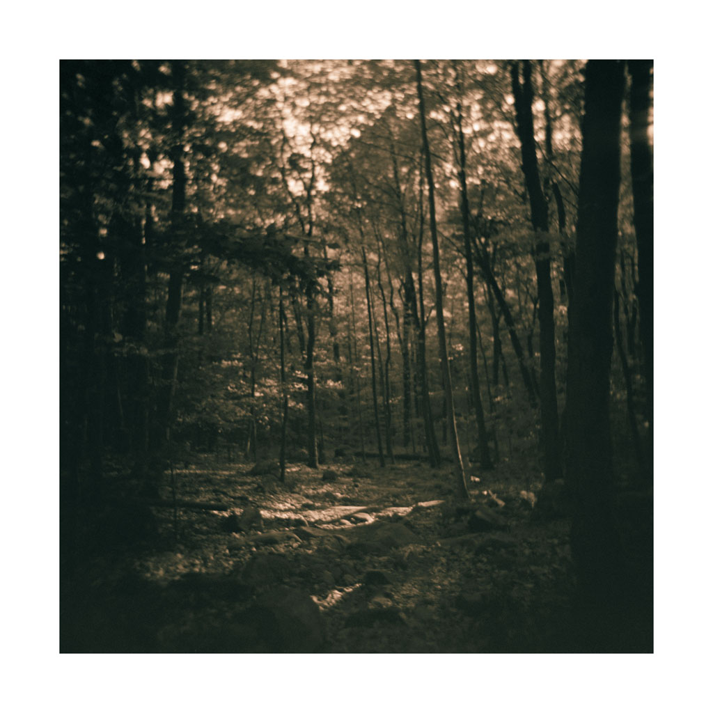 Woods