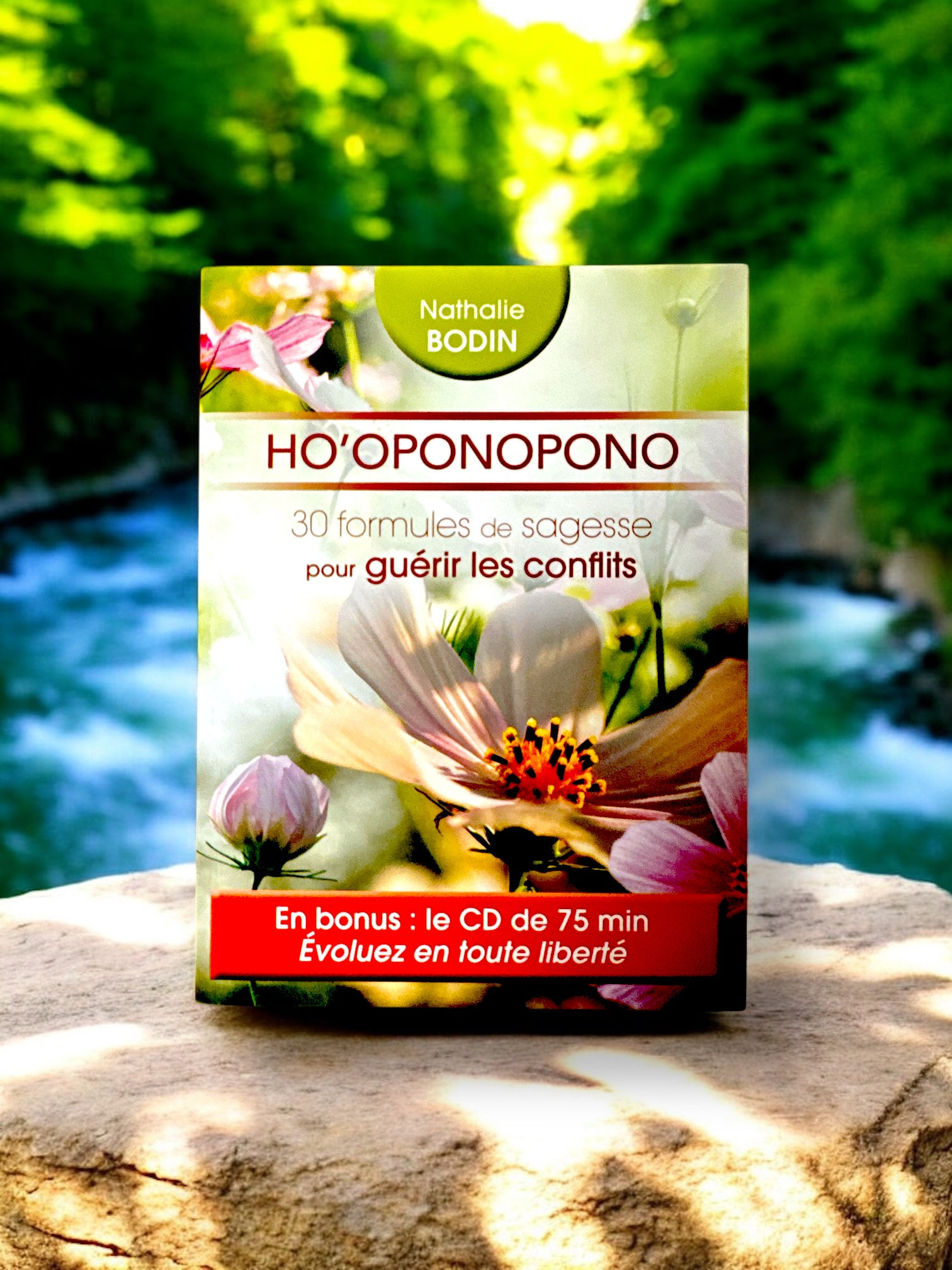 HO'OPONΟΡΟΝΟ  30 formules de sagesse pour guérir les conflits