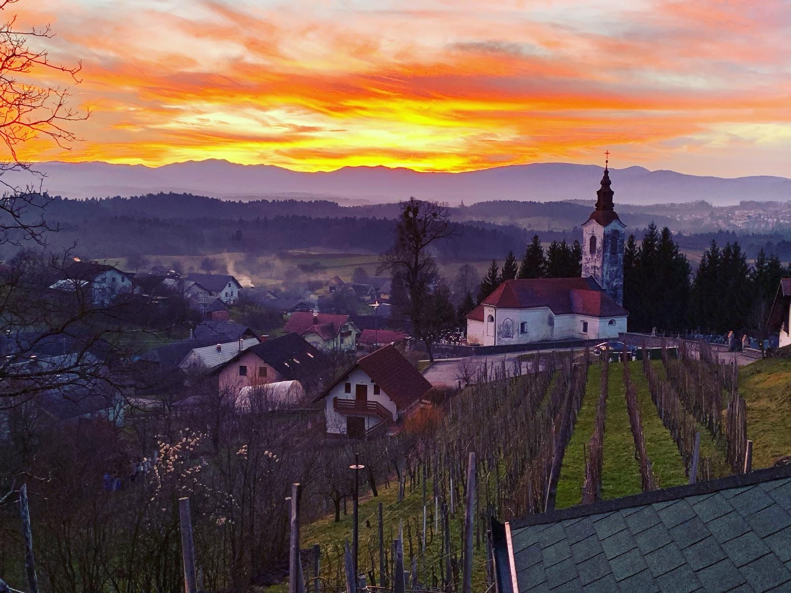 Štihi vinček - VIP klub