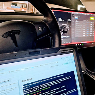Tesla Service Zürich