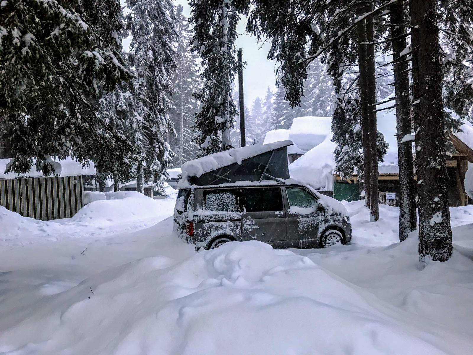 VW California Kaufen