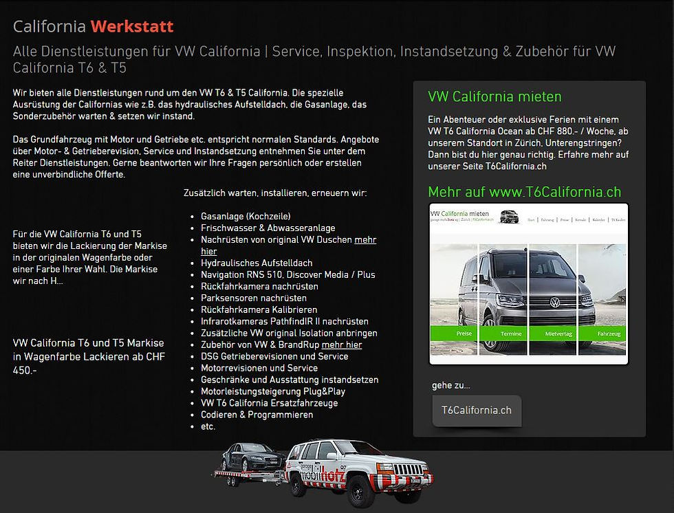 Werkstatt für VW California