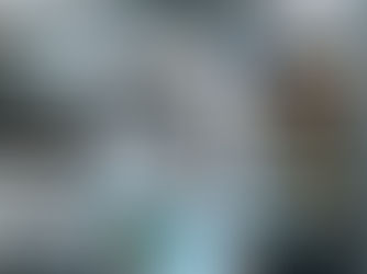 VW T5 T6 2.0BiTDI Ölverbrauch | CFCA CXEB Motor | neuer Motor | 2 Jahre Garantie | ab CHF 15'000.- inkl. Nebenarbeiten