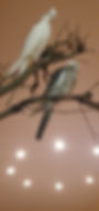 des oiseaux sur une branche