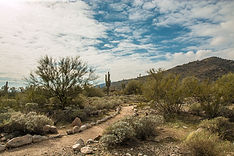 WhiteTanklandscape24-BethHaddox.jpg