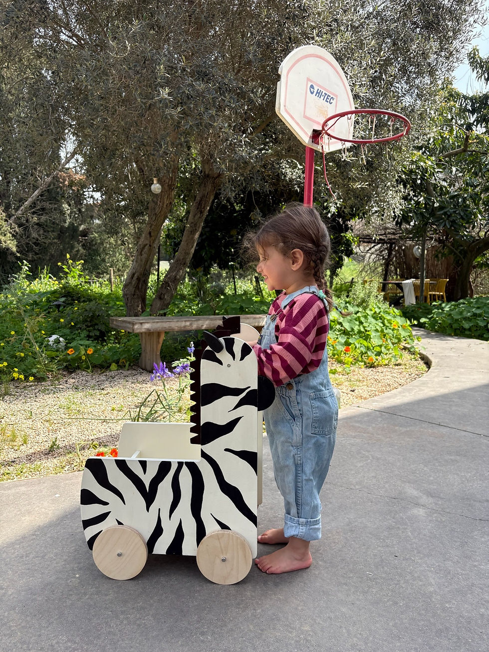תמונה ממוזערת: עגלת הליכון - זברה
