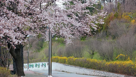 충주 밤문화 완벽 가이드 | 바, 이자카야, 노래방 & 포장마차 추천