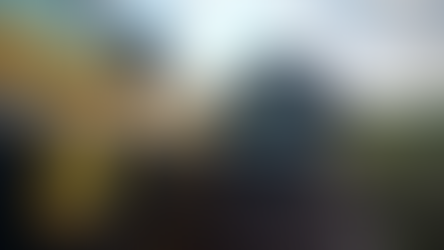 PRF prende casal com meia tonelada de maconha no Paraná