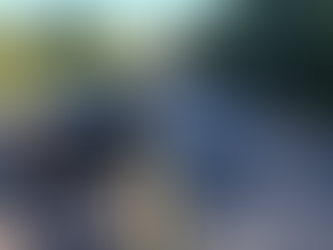 Duas pessoas morrem após colisão frontal na BR-376