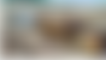 Homem morre esmagado após carregadeira capotar