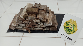 Polícia Militar apreende 27 quilos de maconha após denúncia