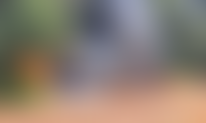 Ônibus são destruídos após incêndio em Dois Vizinhos