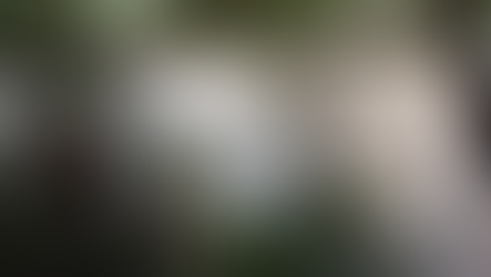 Corpo de jovem é encontrado no rio marrecas em Francisco Beltrão