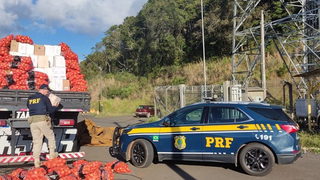 PRF prende homem transportando 4.500 litros de vinho de origem estrangeira que saiu de Pato Branco