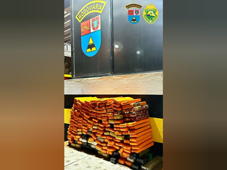 BPRv apreende 140 quilos de maconha