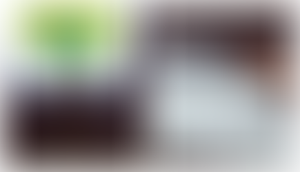 Espingarda e mais de 300 munições são apreendidas em Pato Branco