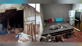 Trabalhadores em condições análogas à escravidão são resgatadas em Palotina