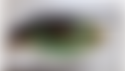 Arma de fogo é apreendida no interior de Candói