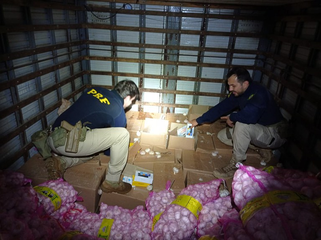 PRF apreende carga valiosa de eletrônicos escondida sob fardos de alho