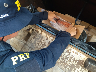 PRF apreende cerca de três toneladas de camarão contrabandeado e impróprio para consumo