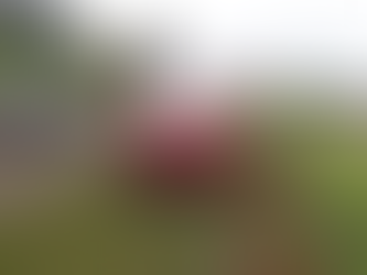 Grave acidente entre carro e caminhão deixa dois feridos na PR-493