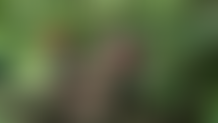 Marido teria matado esposa e as enteadas e enterrado os corpos; diz polícia