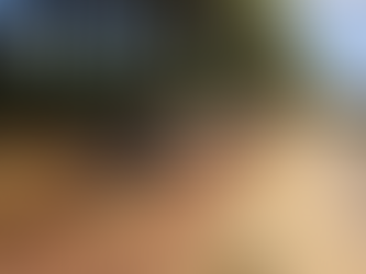 Motorista sofre ferimentos em tombamento de caminhão na BR-280 em Marmeleiro