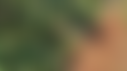 Homem é encontrado morto próximo a UPA em Francisco Beltrão