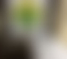 Homem com tornozeleira eletrônica é preso por tráfico de drogas