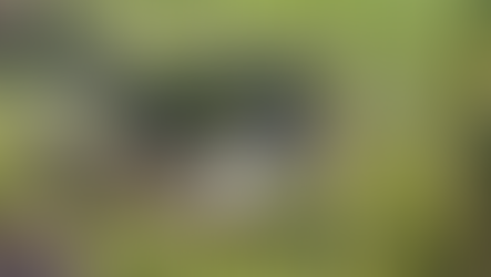 Três pessoas morrem em grave acidente na PR-483 em Francisco Beltrão