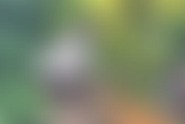 Polícia Civil prende vizinho suspeito de matar agricultor a tiros