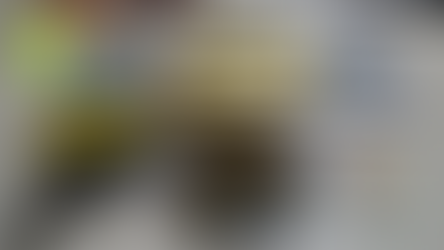 Polícia Militar prende homem com mais de 5 quilos de maconha e arma de fogo