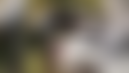 Três pessoas morrem e cinco ficam feridas em grave acidente na BR 163