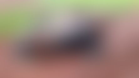 Quatro ficam machucados em acidente na PR-495 em Santa Helena