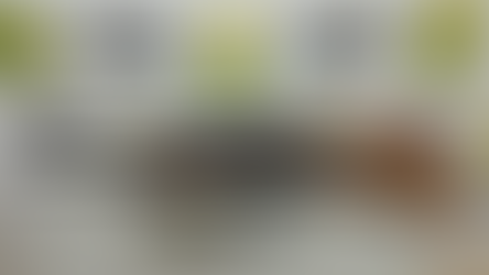 PM prende dois homens com duas armas de fogo e grande quantidade de munição