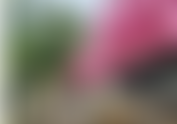 Sobe para nove o número de mortos em gravíssimo acidente na BR-376