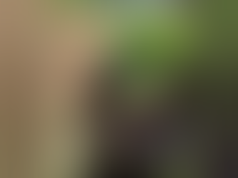 Jovens sofrem acidente de moto e são encontrado horas depois; um morreu e outro ficou ferido